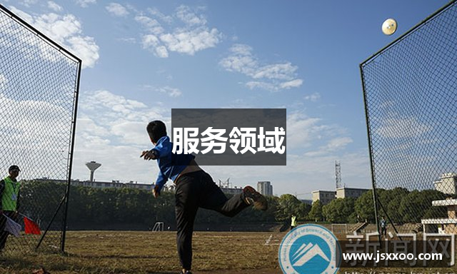 服务领域